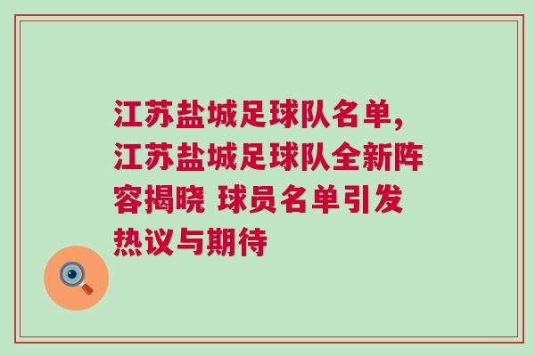 江苏盐城足球队名单,江苏盐城足球队全新阵容揭晓 球员名单引发热议与期待