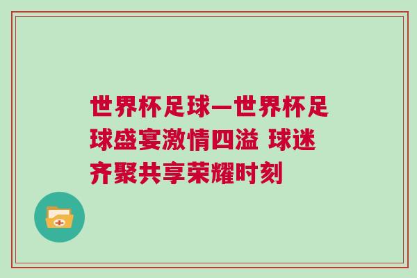 世界杯足球—世界杯足球盛宴激情四溢 球迷齐聚共享荣耀时刻