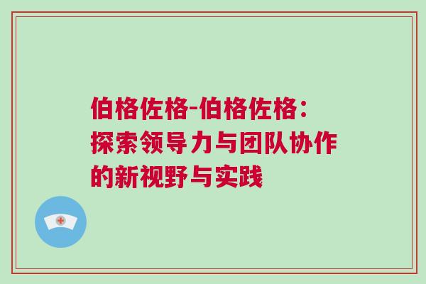 伯格佐格-伯格佐格：探索领导力与团队协作的新视野与实践
