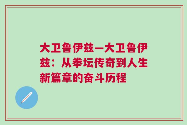 大卫鲁伊兹—大卫鲁伊兹：从拳坛传奇到人生新篇章的奋斗历程