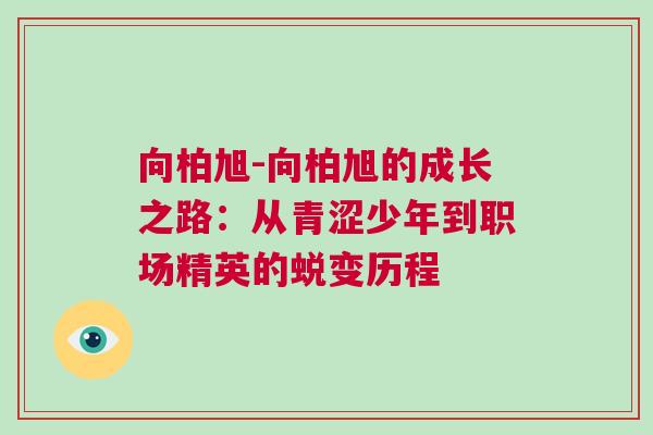 向柏旭-向柏旭的成长之路：从青涩少年到职场精英的蜕变历程