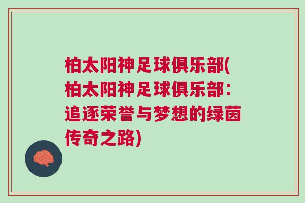 柏太阳神足球俱乐部(柏太阳神足球俱乐部：追逐荣誉与梦想的绿茵传奇之路)