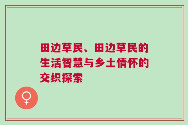田边草民、田边草民的生活智慧与乡土情怀的交织探索