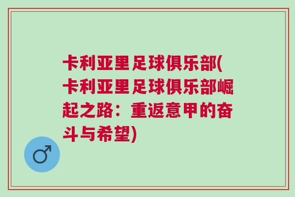 卡利亚里足球俱乐部(卡利亚里足球俱乐部崛起之路：重返意甲的奋斗与希望)