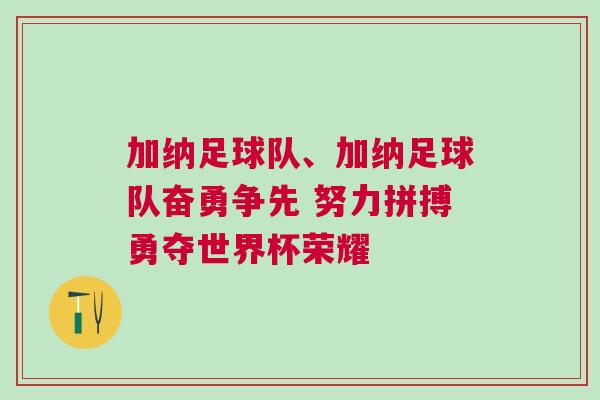 加纳足球队、加纳足球队奋勇争先 努力拼搏勇夺世界杯荣耀