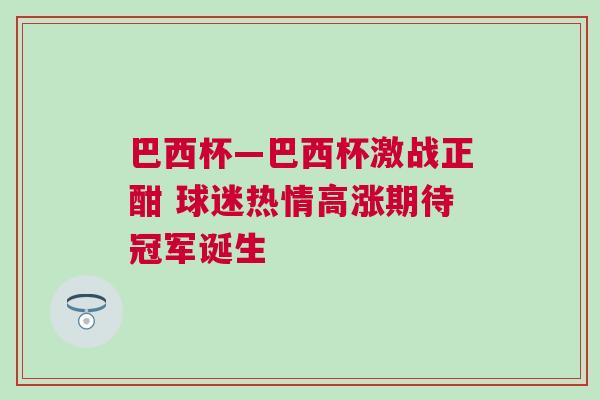 巴西杯—巴西杯激战正酣 球迷热情高涨期待冠军诞生
