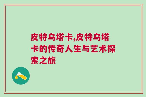 皮特乌塔卡,皮特乌塔卡的传奇人生与艺术探索之旅