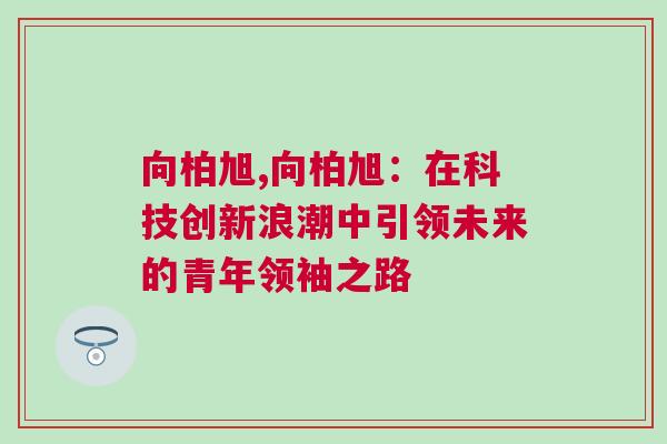 向柏旭,向柏旭：在科技创新浪潮中引领未来的青年领袖之路