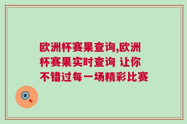 欧洲杯赛果查询,欧洲杯赛果实时查询 让你不错过每一场精彩比赛