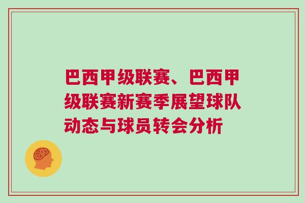 巴西甲级联赛、巴西甲级联赛新赛季展望球队动态与球员转会分析