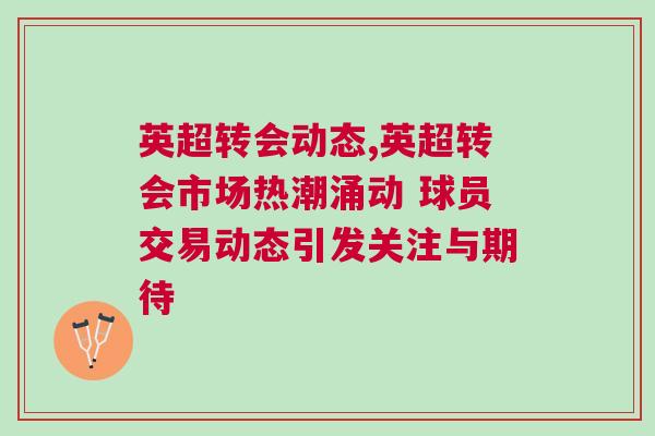 英超转会动态,英超转会市场热潮涌动 球员交易动态引发关注与期待