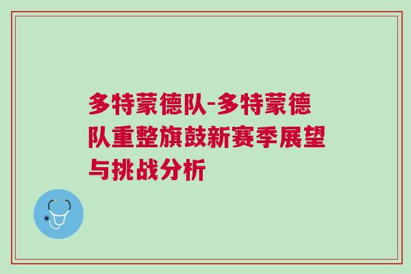 多特蒙德队-多特蒙德队重整旗鼓新赛季展望与挑战分析
