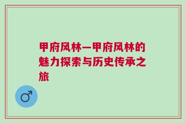 甲府风林—甲府风林的魅力探索与历史传承之旅