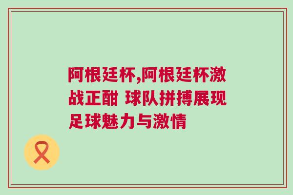 阿根廷杯,阿根廷杯激战正酣 球队拼搏展现足球魅力与激情