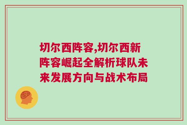 切尔西阵容,切尔西新阵容崛起全解析球队未来发展方向与战术布局