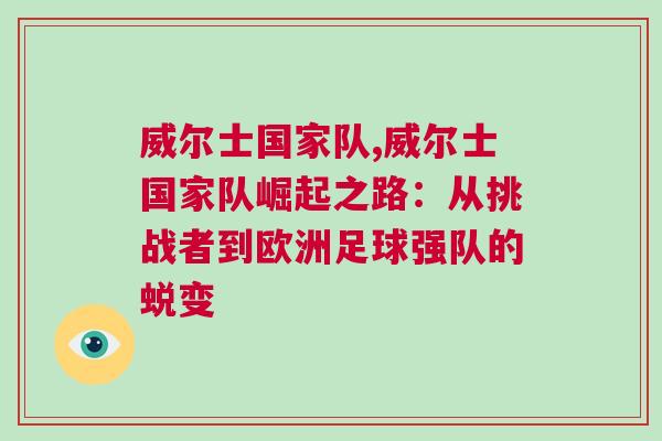 威尔士国家队,威尔士国家队崛起之路：从挑战者到欧洲足球强队的蜕变