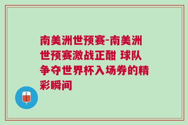 南美洲世预赛-南美洲世预赛激战正酣 球队争夺世界杯入场券的精彩瞬间
