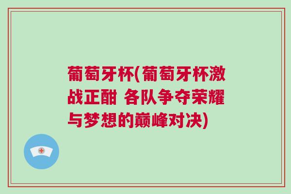 葡萄牙杯(葡萄牙杯激战正酣 各队争夺荣耀与梦想的巅峰对决)