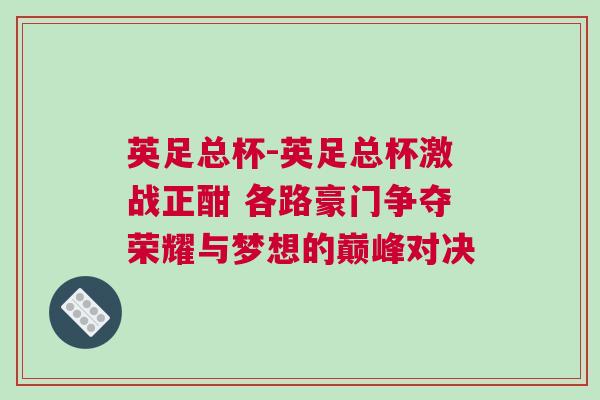 英足总杯-英足总杯激战正酣 各路豪门争夺荣耀与梦想的巅峰对决