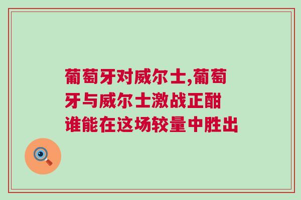 葡萄牙对威尔士,葡萄牙与威尔士激战正酣 谁能在这场较量中胜出