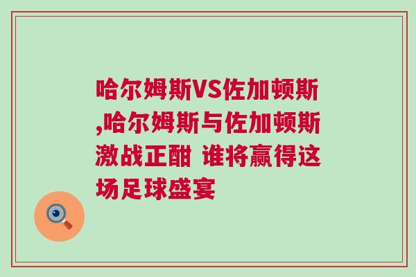 哈尔姆斯VS佐加顿斯,哈尔姆斯与佐加顿斯激战正酣 谁将赢得这场足球盛宴