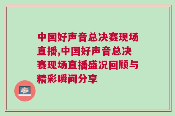 中国好声音总决赛现场直播,中国好声音总决赛现场直播盛况回顾与精彩瞬间分享