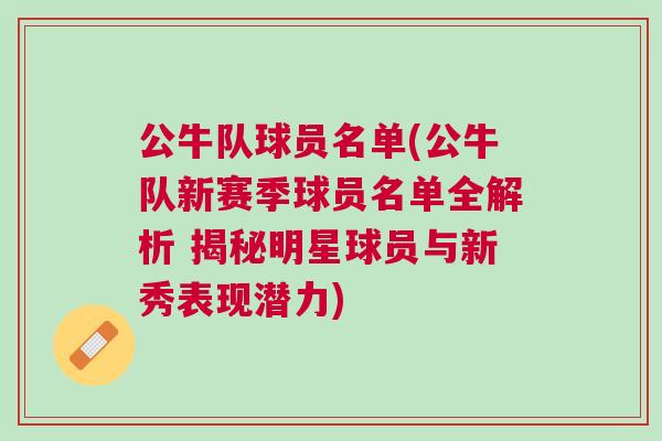 公牛队球员名单(公牛队新赛季球员名单全解析 揭秘明星球员与新秀表现潜力)
