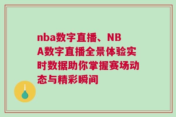 nba数字直播、NBA数字直播全景体验实时数据助你掌握赛场动态与精彩瞬间